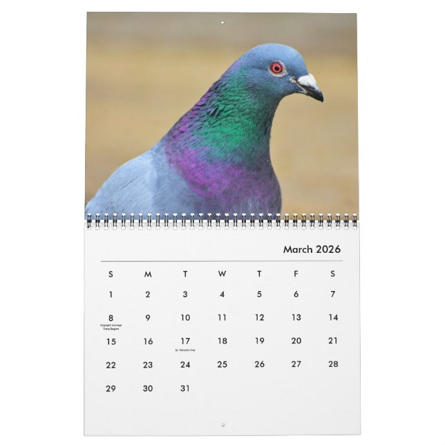 Peaceful Pigeons and Elegant Doves Nature Inspired Calendar (Mar 2026)