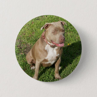 Peaceful Pitbull 2 Inch Round Button
