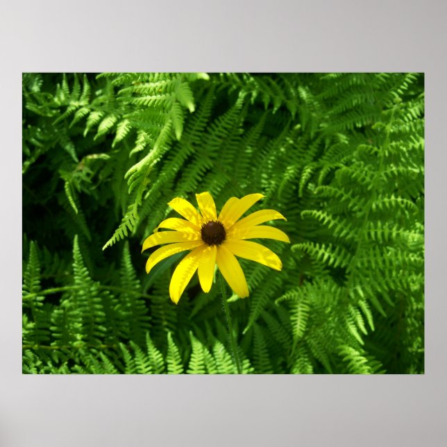 Peaceful Place Poster (Front)