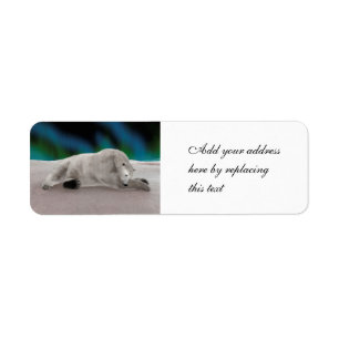 Peaceful Polar Bear Arctic Nature Illustration