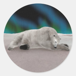 Peaceful Polar Bear Arctic Nature Illustration Classic Round Sticker
