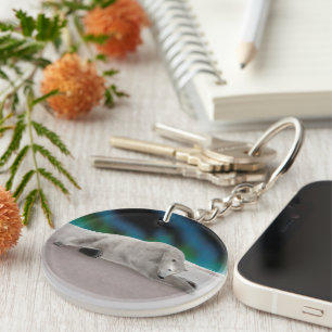 Peaceful Polar Bear Arctic Nature Illustration Keychain