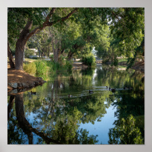 Peaceful Pond Reflections - Nature's Mirror Poster