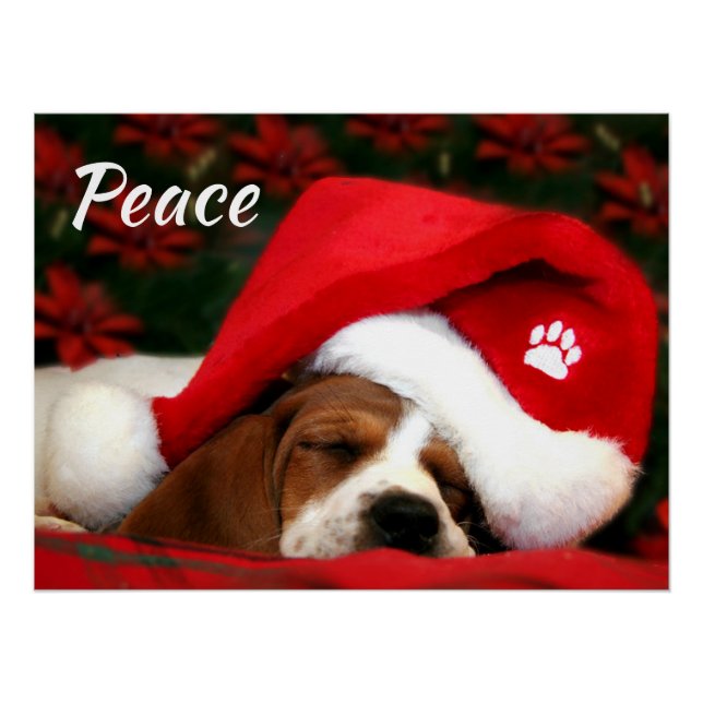 Peaceful Puppy With Text Poster (Front)