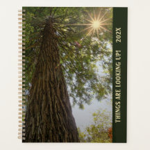 Peaceful Sequoia Photograph with Sunburst Planner
