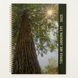 Peaceful Sequoia Photograph with Sunburst Planner