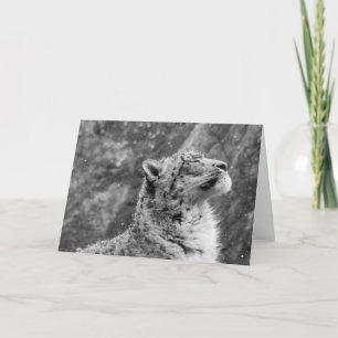 Peaceful Snow Leopard Holiday Card