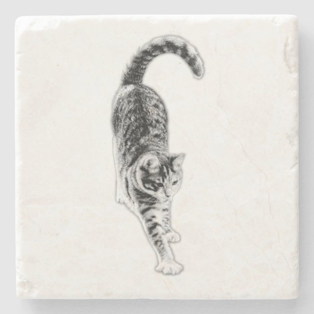 Peaceful Stretch Cat Coaster Set (Front)