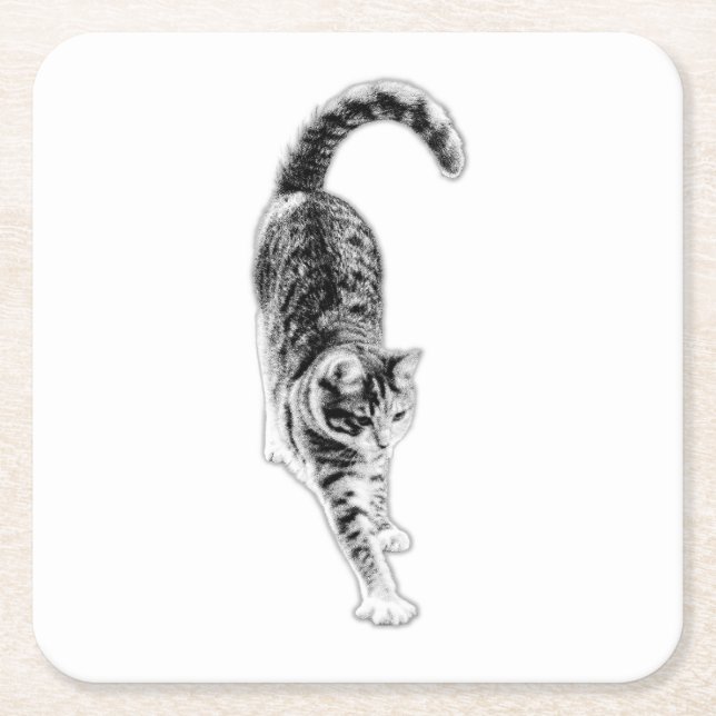 Peaceful Stretch Cat Coaster Set (Front)