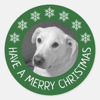 Peaceful White Dog Photo Merry Christmas Green Classic Round Sticker