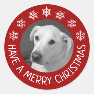 Peaceful White Dog Photo Merry Christmas Red Classic Round Sticker