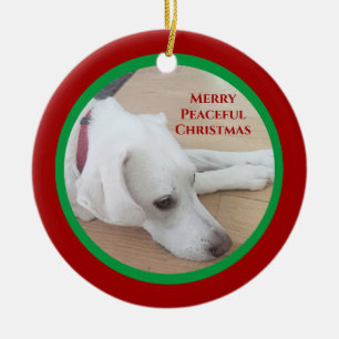 Peaceful White Dog Red Collar Christmas Ceramic Ornament