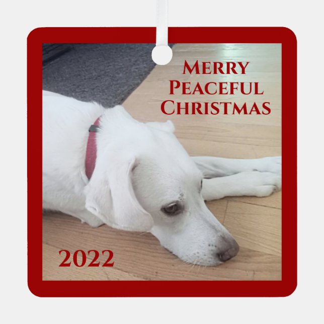 Peaceful White Dog Red Collar Christmas Metal Ornament (Front)