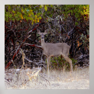 Peacefully... Poster