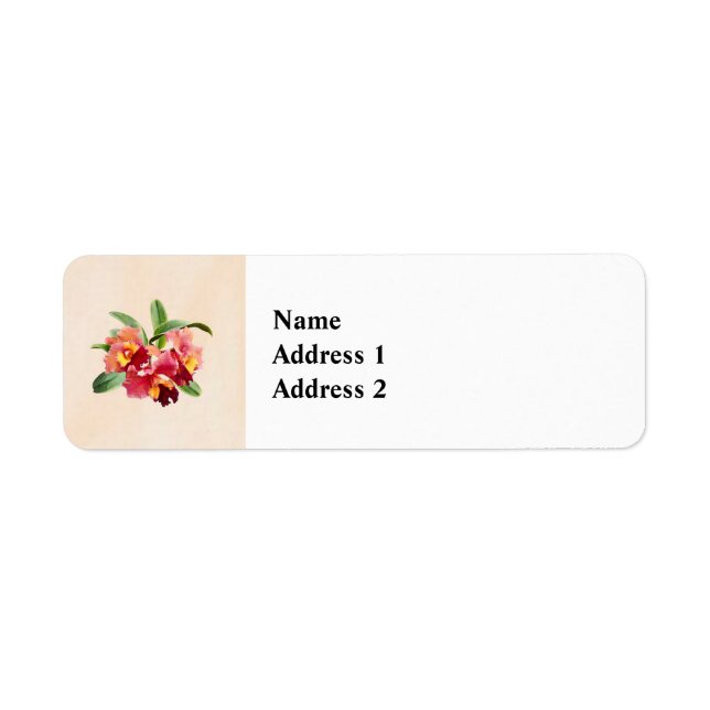 Peach and Crimson Cattleya Orchids (Front)