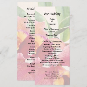 Peach and Crimson Cattleya Orchids Program