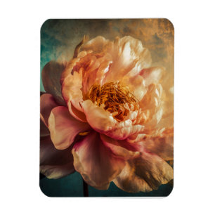 Peach Beauty  Magnet