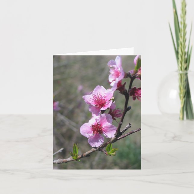 Peach Blossom Card (Front)
