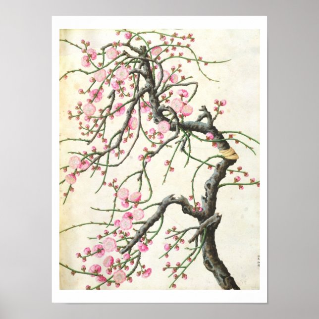 Peach blossom (color on paper) poster (Front)