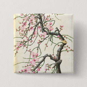 Peach blossom (colour on paper) 2 inch square button