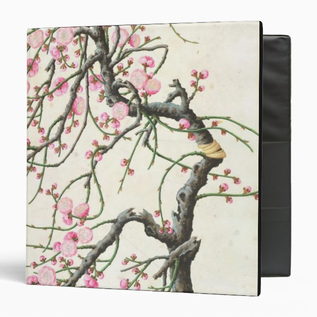 Peach blossom (colour on paper) binder (Front/Inside)
