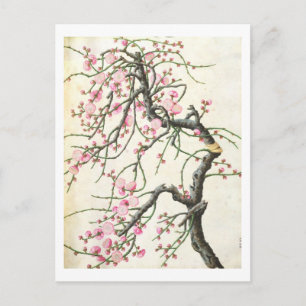 Peach blossom (colour on paper) postcard