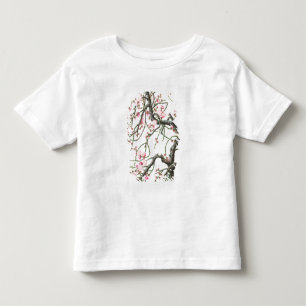 Peach blossom (colour on paper) toddler t-shirt