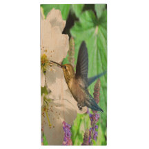 Peach Blossom Hummingbird