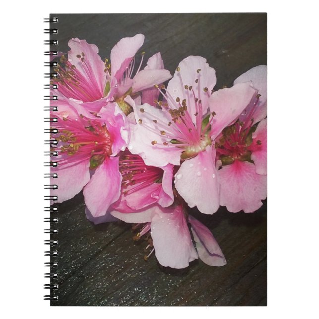 Peach Blossoms Notebook (Front)