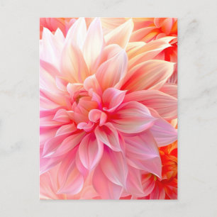 Peach Blush Dahlia Blossom Announcement Postcard