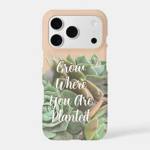 Peach Blush Succulent Choisissez votre couleur