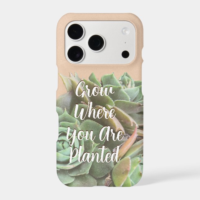Peach Blush Succulent Choisissez votre couleur (Verso)