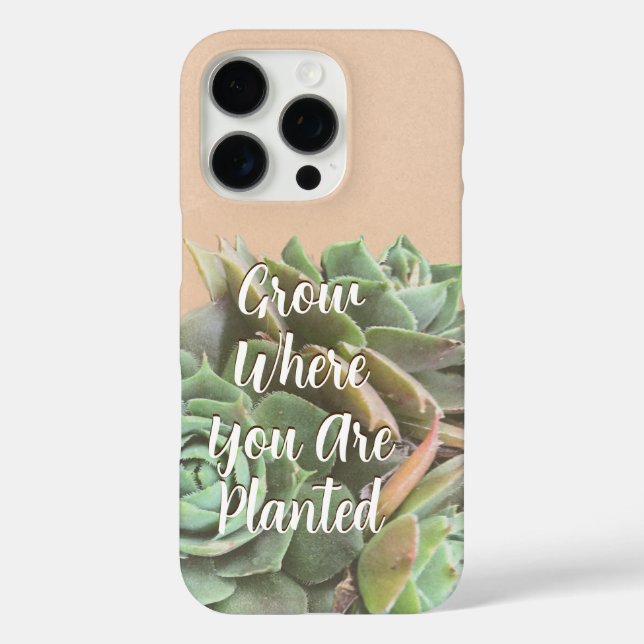 Peach Blush Succulent Choose your colour Case-Mate iPhone Case (Back)
