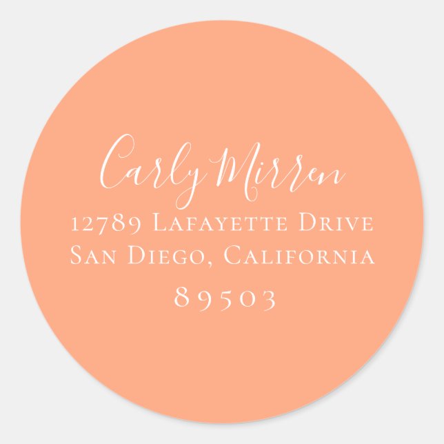 Peach Cantaloupe Colour Return Address Sticker (Front)