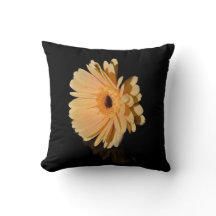 Peach chrysanthemum flower Cushion