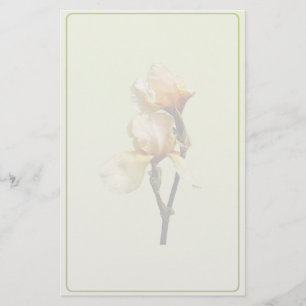 Peach Coloured Irises Stationery