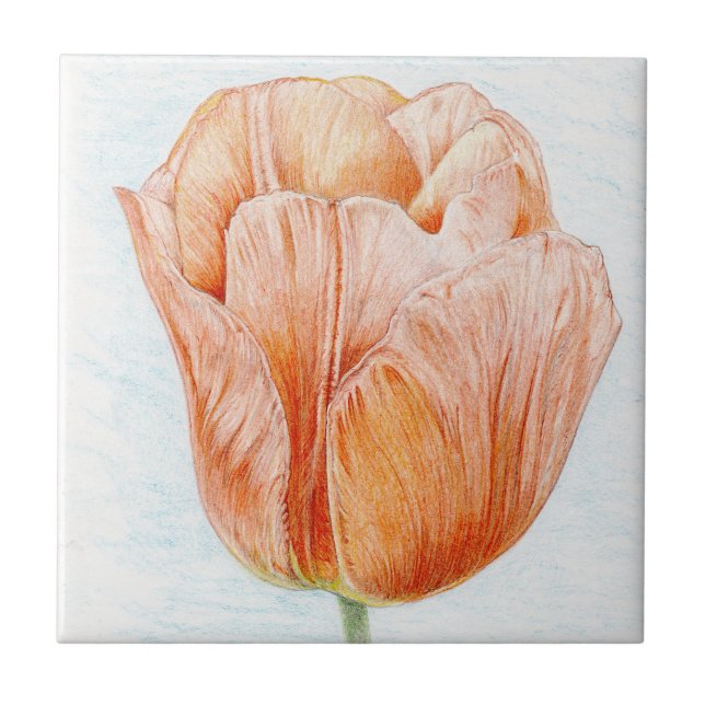 Peach Coloured Tulip Tile (Front)