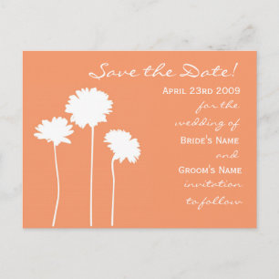 Peach Daisy Save the Date Announcement Postcard