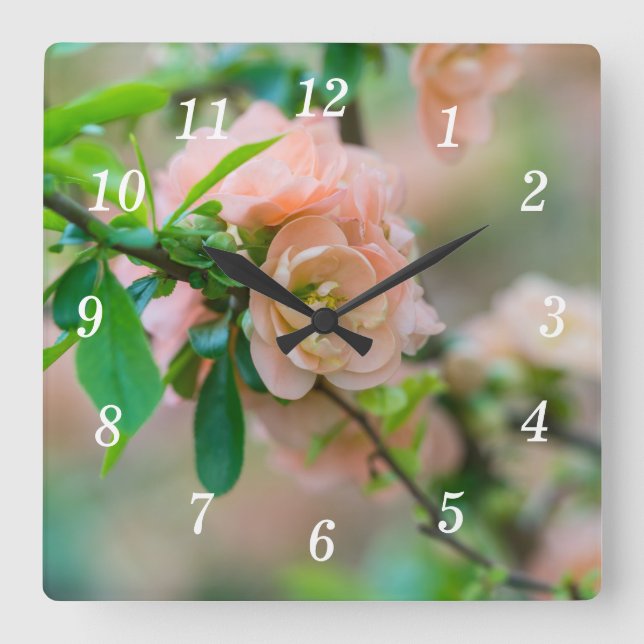 Peach Flowering Quince Wall Clock (Front)