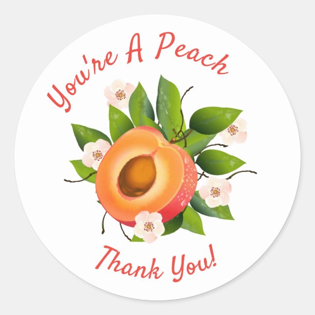 Peach Fruit Canning | Thank You Envelope Seal (Front)