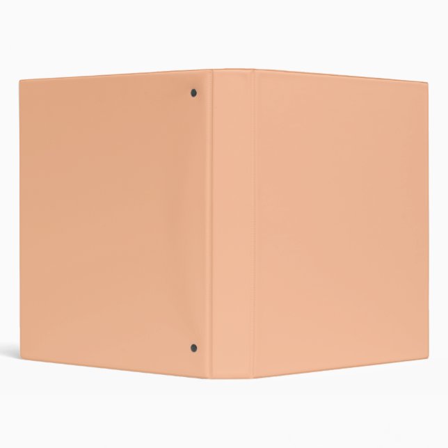 Peach Fuzz Solid Colour Binder (Background)