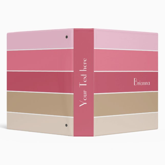 Peach Green Custom Summer Colour Block Stripes Binder (Background)