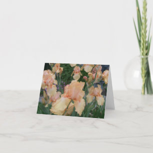 Peach Iris Card