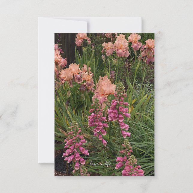 Peach Iris, Pink Foxglove Card (Front)