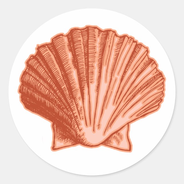 Peach Orange Seashell Stickers (Front)