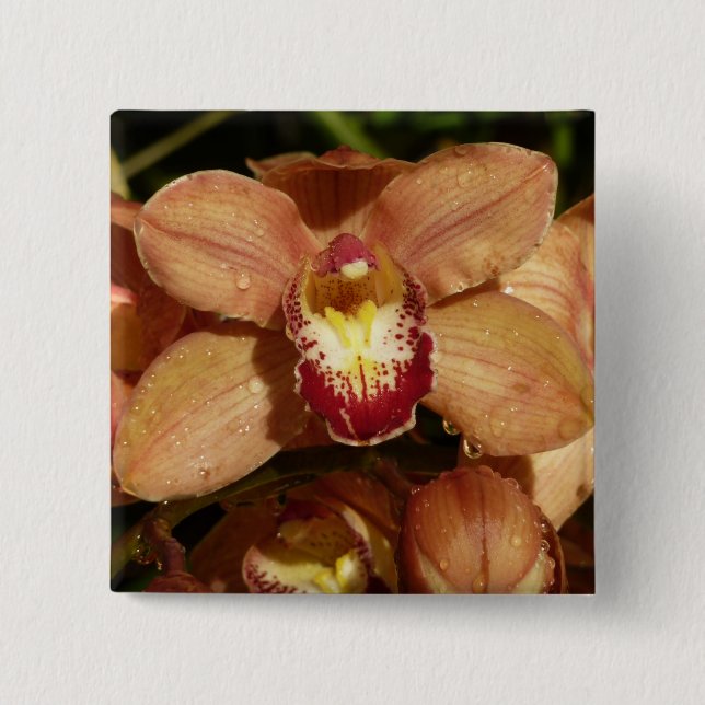 Peach Orchids with Raindrops Floral 2 Inch Square Button (Front)