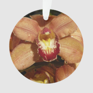 Peach Orchids with Raindrops Floral Ornament