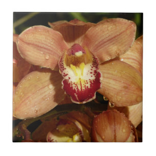 Peach Orchids with Raindrops Floral Tile