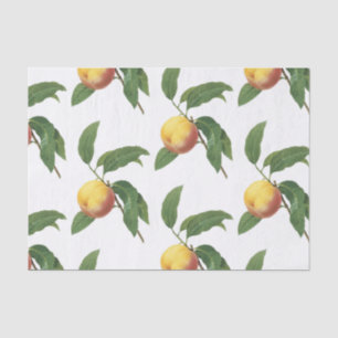 Peach Pattern Tissue Paper