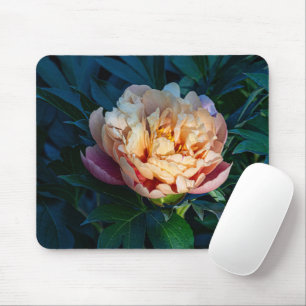 Peach Peony, Soft Bloom Flower Photo Mouse Pad